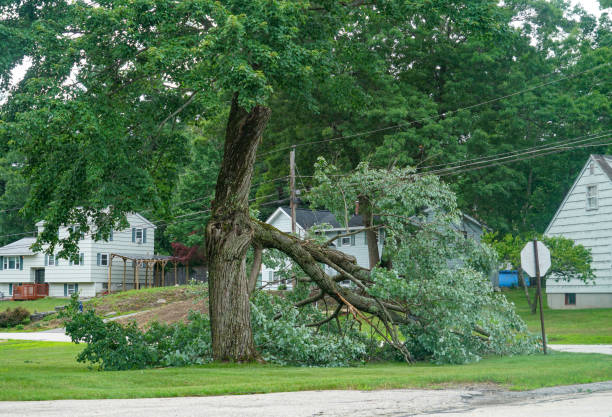 Best Utility Line Clearance  in Kekaha, HI